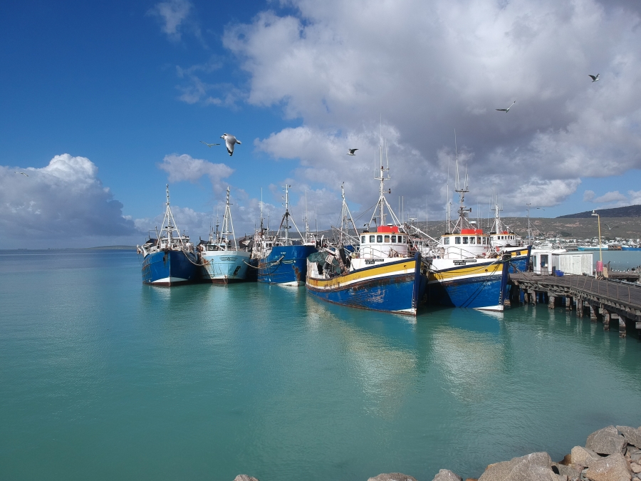 0 Bedroom Property for Sale in Sandpyper Village Western Cape